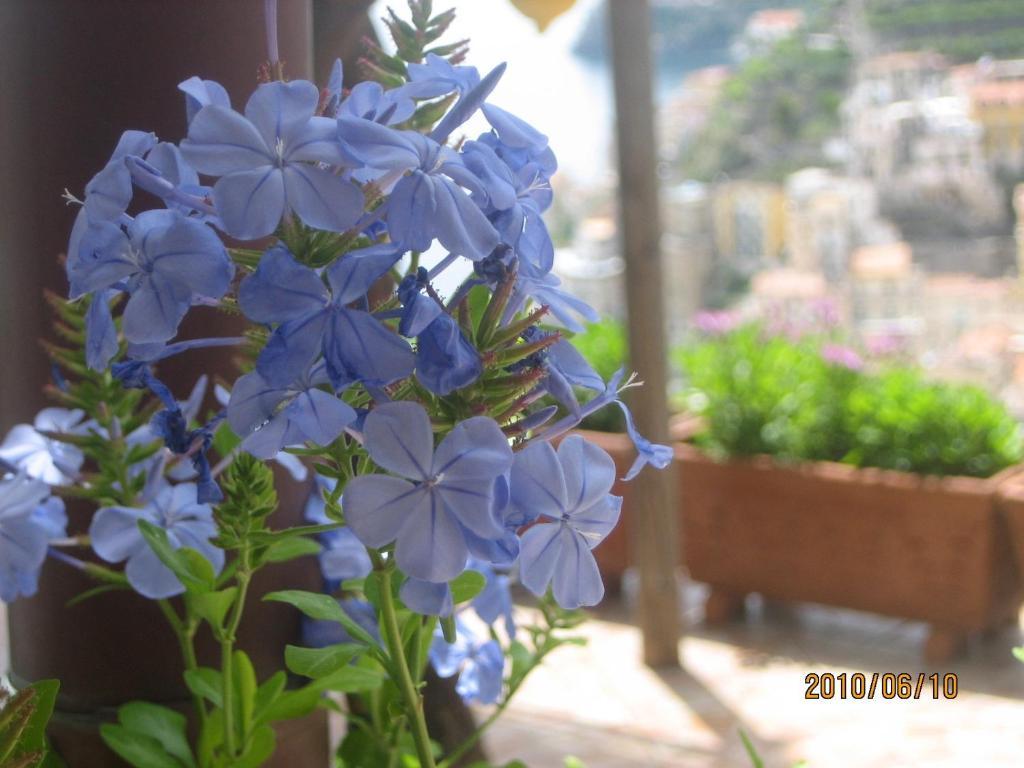 Villa Marietta มินอริ ภายนอก รูปภาพ