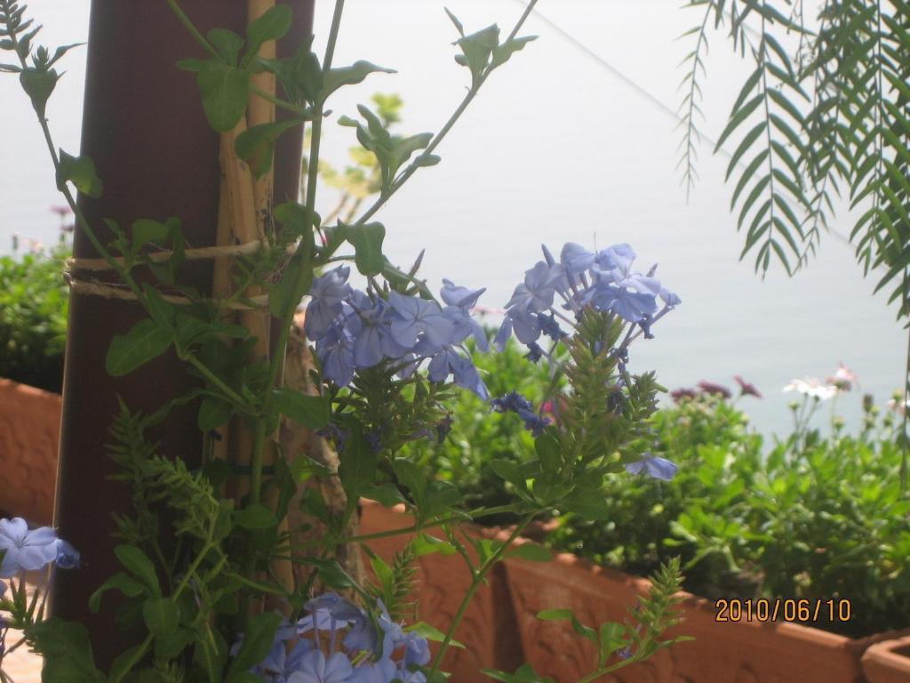 Villa Marietta มินอริ ภายนอก รูปภาพ