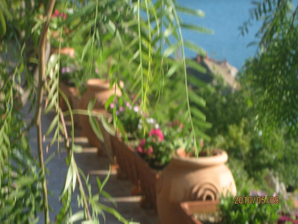 Villa Marietta มินอริ ภายนอก รูปภาพ